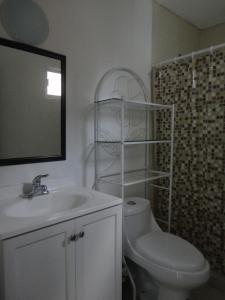 un bagno con un water, un lavandino e uno specchio di Posada San Cristobal a Cuernavaca Altre 37 foto