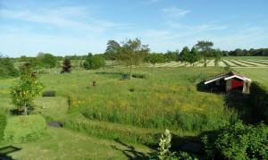 een veld met een schuur in het midden bij Natuurhuisje Silverhuys in Oosterstreek
