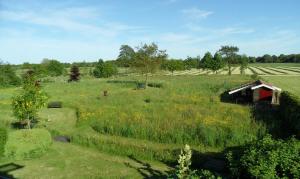 a field with a barn in the middle of it at Natuurhuisje Silverhuys in Oosterstreek