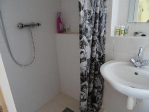 a bathroom with a shower curtain and a sink at Natuurhuisje Silverhuys in Oosterstreek