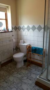 a bathroom with a toilet and a window and a shower at Great Danes Country Inn in Swaffham