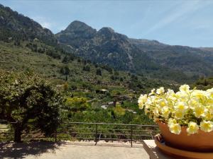 
a flower garden with a view of the mountains at Hotel Apartament Sa Tanqueta De Fornalutx - Adults Only in Fornalutx
