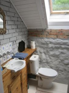 a bathroom with a toilet and a sink at Krzywe 3 in Krzywe +21 photos
