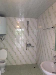 Kylpyhuone majoituspaikassa Agro Guest House Tsiskari in Machakhela