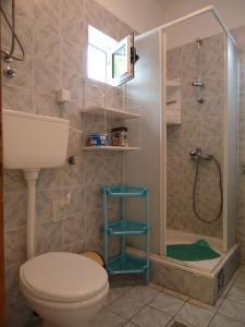 a bathroom with a toilet and a shower with a shower at Apartments Vila San in Kamenari