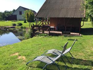 a pair of chairs sitting in the grass near a pond at Antano Razgaus kaimo turizmo sodyba in Plateliai