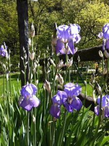 Giardino di Unione