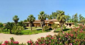 a house with a garden with palm trees and flowers at Agriturismo I Vigneti in Olmedo
