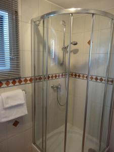 a shower with a glass door in a bathroom at Stadt und Wald in Trier