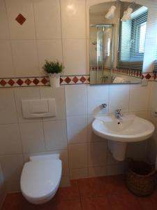 a bathroom with a toilet and a sink at Stadt und Wald in Trier