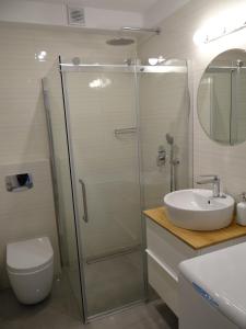 ヤストシェンビャ・グラにあるApartament N-Starのバスルーム(シャワー、洗面台、トイレ付)