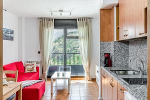 Кухня или кухненски бокс в Apartamentos Prat de les Molleres