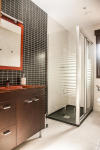 a bathroom with a sink and a shower with a mirror at Apartamento el Palomar in Ayllón