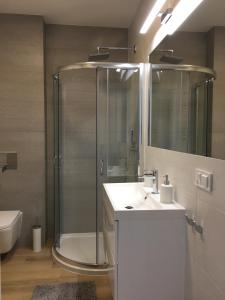 a bathroom with a shower and a sink and a toilet at Apartament Baltic Park - BEL MARE in Pogorzelica
