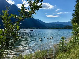 Fotografia z galérie ubytovania Landhaus Hallstättersee v destinácii Bad Goisern
