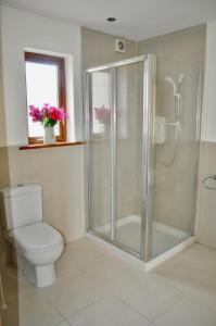 a bathroom with a shower and a toilet at Island View Townhouses in Clifden