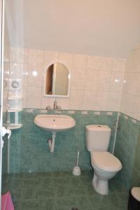 オブゾルにあるGalina Guest Houseのバスルーム(洗面台、トイレ、鏡付)