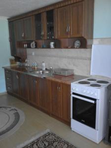 a kitchen with a stove and a sink at Apartment Luka in Žabljak