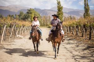 two people riding horses down a dirt road at Grace Cafayate in Cafayate