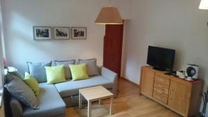 Televízia a/alebo spoločenská miestnosť v ubytovaní Apartament Selaz