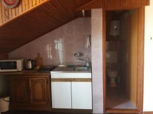 a small kitchen with a sink and a toilet at Apartman Amalija in Gornji Karin