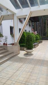 Φωτογραφία από το άλμπουμ του Family hotel Borova Gora σε Pirdop +148 φωτογραφίες