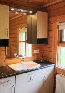 a bathroom with a sink and a mirror at Geysir - Modern Log Cabin in Reykholt