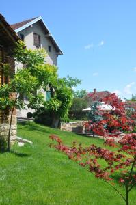 Guesthouse Djurić في نيجوتين: ساحة بها منزل وحديقة بها زهور حمراء