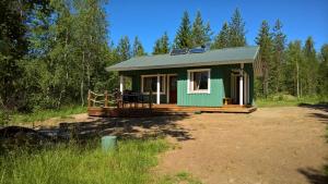 a green tiny house in the middle of a forest at ILO103 in Huhus