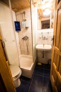 a bathroom with a shower and a toilet and a sink at Chalet Baluma Maluba in Jahorina