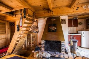 a kitchen with a fireplace in a log cabin at Chalet Baluma Maluba in Jahorina