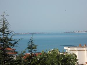スヴェティ・ヴラスにあるTanjaの大水の景色