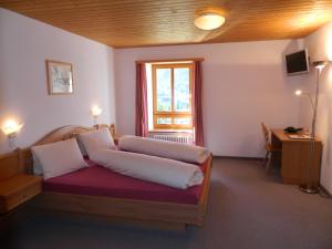 TV a/nebo společenská místnost v ubytování Hotel Preda Kulm