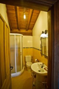 a bathroom with a shower and a toilet and a sink at Casa del Herrero in Mogarraz