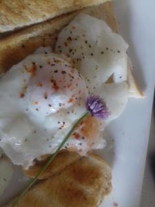 un plato blanco con huevos fritos y tostadas en Westhouse Cafe, en Longford