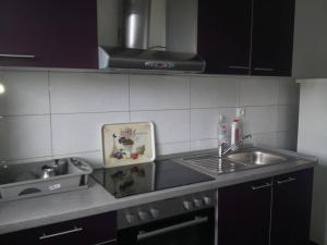 eine Küche mit einer Spüle und einer Arbeitsplatte in der Unterkunft Merla in Trogir