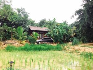 
a car parked in the middle of a lush green field at Sukhothai City Resort in Sukhothai
