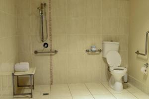 a bathroom with a toilet and a shower stall at Atricom in Stanthorpe
