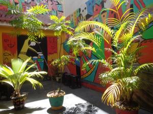 dos macetas delante de una pared con graffiti en Arte Brasileira, en Salvador 60 fotos más