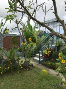 谷米巴厘旅馆外面的花园