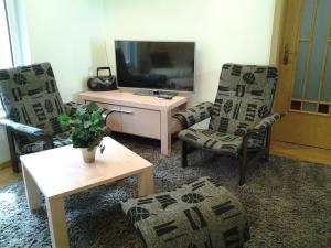 TV a/nebo společenská místnost v ubytování Jaani 2-1 Apartment