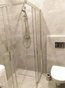 a shower stall in a bathroom with a toilet at Przystań parking ogródek blisko jeziora i mariny dla jachtów in Ostróda +36 photos