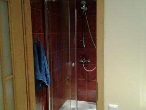 a shower with a glass door and blue towels at Jaani 2 Apartment in Pärnu