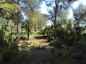 Príroda v okolí of the country house