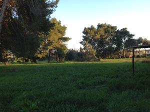 Príroda v okolí of the country house