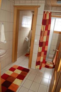 a bathroom with aicolored shower curtain and a toilet at Haus Gantioler in Mieders