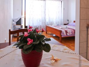 Fotografia z galérie ubytovania Apartment in Zadar I v destinácii Smirić