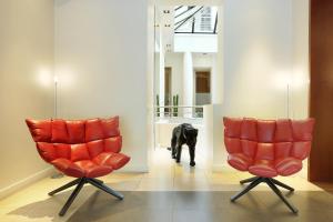 Domácí mazlíčci ubytovaní s hosty v ubytování Select Hotel