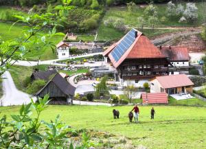 eine Gruppe von Menschen, die mit zwei Tieren auf einem Feld spazieren in der Unterkunft Müllerjörgenhof in Gutach