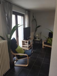 a living room with two chairs and a television at Appartement Stein in Fritzlar